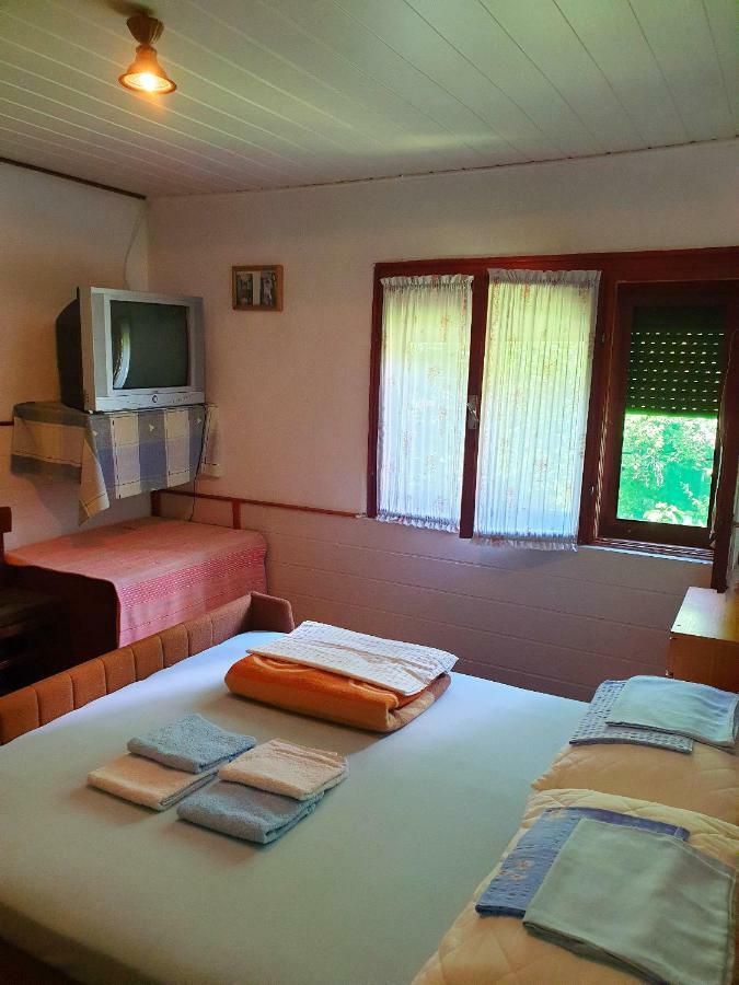 Draga Koncar Guest House Vrelo Koreničko 외부 사진