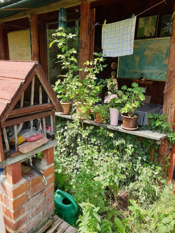 Draga Koncar Guest House Vrelo Koreničko 외부 사진