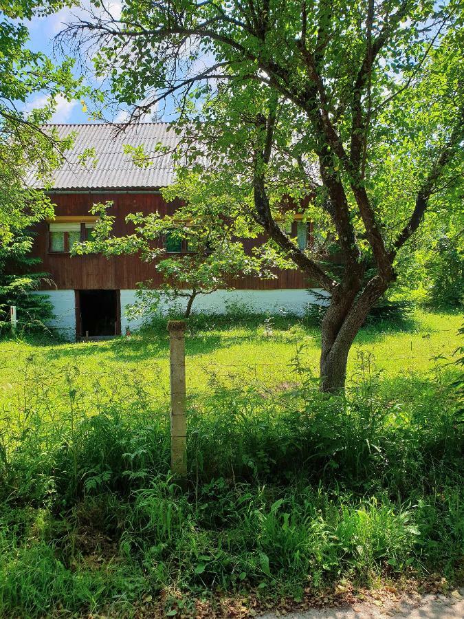 Draga Koncar Guest House Vrelo Koreničko 외부 사진