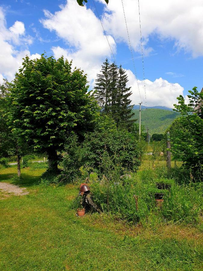 Draga Koncar Guest House Vrelo Koreničko 외부 사진